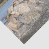 Wilde paarden die door een rivier lopen tissuepapier (Detail)