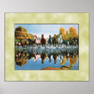Wilde paarden die door water lopen poster
