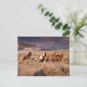 Wilde paarden die lopen briefkaart (Staand voorkant)