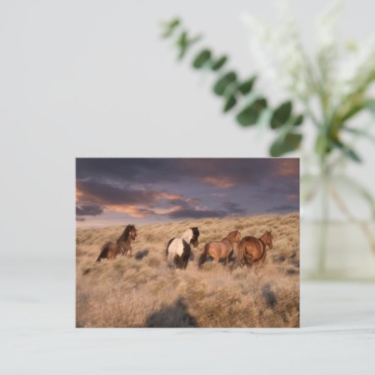 Wilde paarden die lopen briefkaart (Staand voorkant)