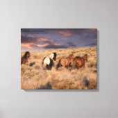 Wilde paarden die lopen canvas afdruk (Voorkant)