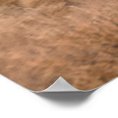 Wilde paarden die lopen poster (Hoek)