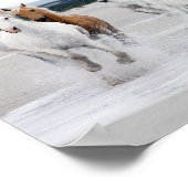 Wilde paarden die op het strand lopen poster (Hoek)