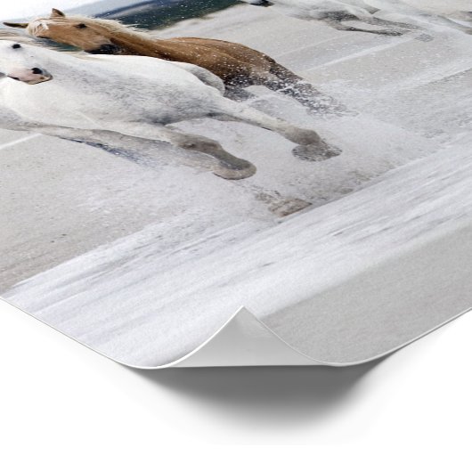 Wilde paarden die op het strand lopen poster (Hoek)