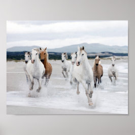 Wilde paarden die op het strand lopen poster