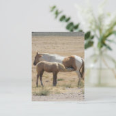 Wilde paarden die rennen zonder tekst briefkaart (Staand voorkant)