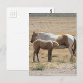 Wilde paarden die rennen zonder tekst briefkaart (Voorkant / Achterkant)