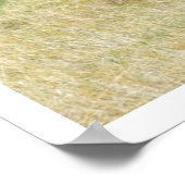 Wilde paarden die Theodore Roosevelt NP bestrijden Poster (Hoek)