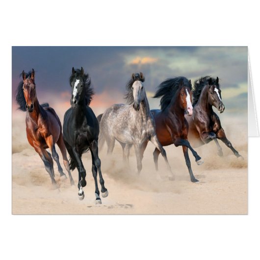 Wilde paarden die vrij lopen (Voorkant Horizontaal)