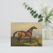  wilde paarden door Alfred de Dreux Briefkaart (Staand voorkant)