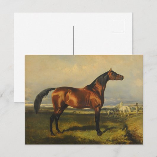  wilde paarden door Alfred de Dreux Briefkaart (Voorkant / Achterkant)