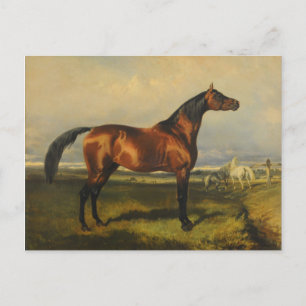  wilde paarden door Alfred de Dreux Briefkaart