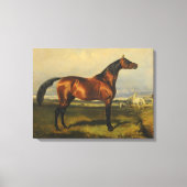 wilde paarden door Alfred de Dreux Canvas Afdruk (Voorkant)