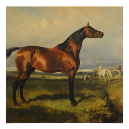 wilde paarden door Alfred de Dreux Perfect Poster (Voorkant)