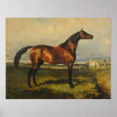  wilde paarden door Alfred de Dreux Poster (Voorkant)