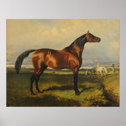  wilde paarden door Alfred de Dreux Poster (Voorkant)