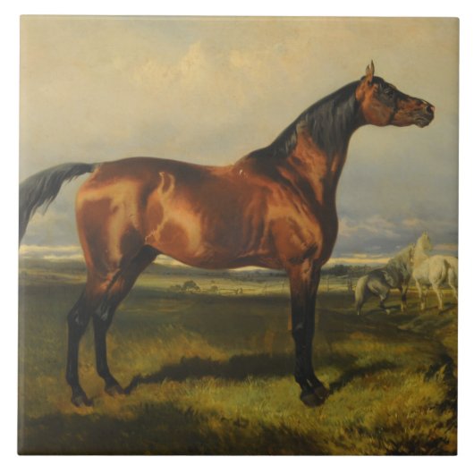  wilde paarden door Alfred de Dreux Tegeltje (Voorkant)