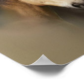 Wilde paarden Drie afdrukken Poster (Hoek)