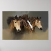 Wilde paarden Drie afdrukken Poster (Voorkant)
