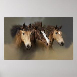 Wilde paarden Drie afdrukken Poster