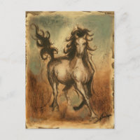 Wilde paarden en warme kleuren