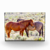 Wilde paarden fotoblokken (Voorkant)