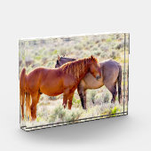 Wilde paarden fotoblokken (Links)