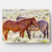 Wilde paarden fotoplaat (voorkant)