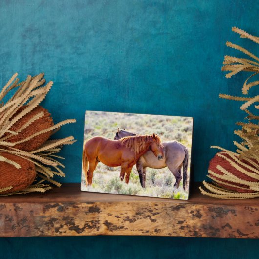 Wilde paarden fotoplaat (Zijkant)
