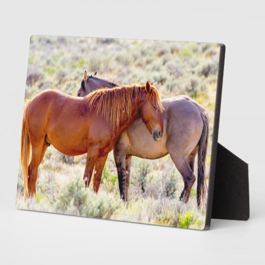 Wilde paarden fotoplaat (Zijkant)