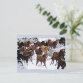 Wilde paarden gedreven briefkaart (Staand voorkant)
