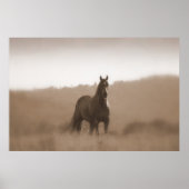 Wilde paarden.. Groot basisPoster Poster (Voorkant)