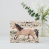 Wilde paarden hebben onze stem nodig briefkaart (Staand voorkant)