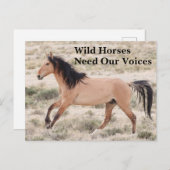 Wilde paarden hebben onze stem nodig briefkaart (Voorkant / Achterkant)
