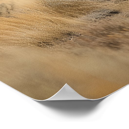 Wilde paarden in de bergen poster (Hoek)