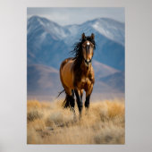 Wilde paarden in de bergen poster (Voorkant)