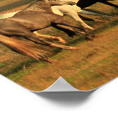 Wilde paarden in het dal-poster poster (Hoek)