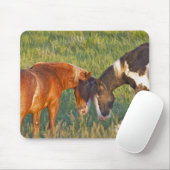 Wilde paarden in het Nationaal Park Theodore Roose Muismat (Met muis)