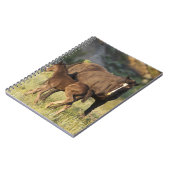 Wilde paarden in het Nationaal Park Theodore Roose Notitieboek (Linkerzijde)