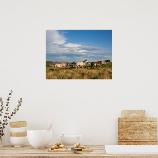 Wilde paarden in het Nationaal Park Theodore Roose Poster (Keuken)