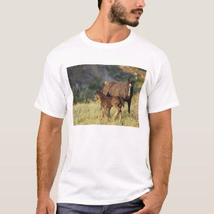 Wilde paarden in het Nationaal Park Theodore Roose T-shirt