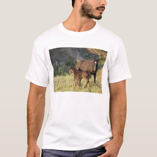 Wilde paarden in het Nationaal Park Theodore Roose T-shirt (Voorkant)