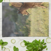 Wilde paarden in het Nationaal Park Theodore Roose Theedoek (Gevouwen)