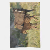 Wilde paarden in het Nationaal Park Theodore Roose Theedoek (Verticaal)