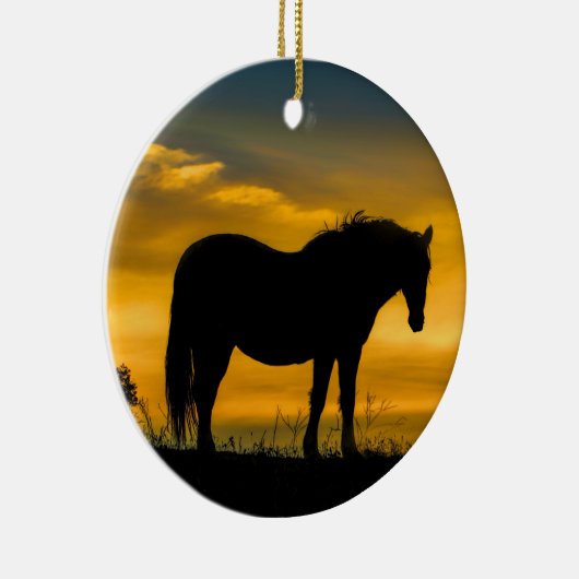 Wilde paarden in het Ornament van de zon (Rechts)