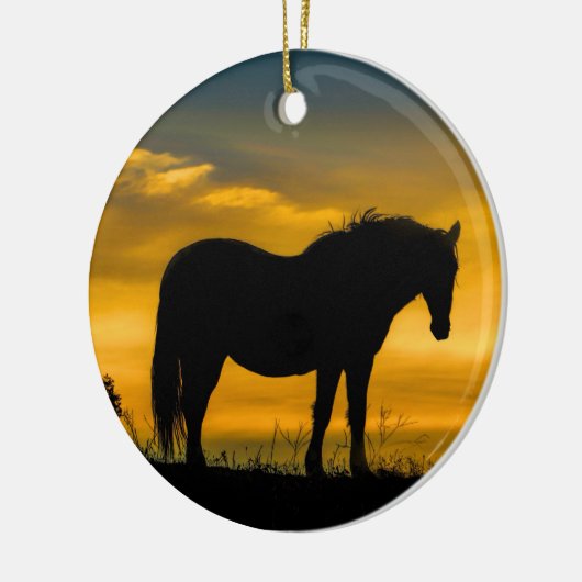 Wilde paarden in het Ornament van de zon (Links)