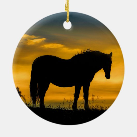 Wilde paarden in het Ornament van de zon (Achterkant)