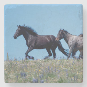 Wilde paarden in Lupine Stenen Onderzetter