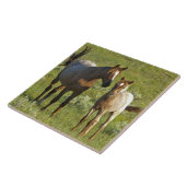 Wilde paarden in North Dakota Tegeltje (Zijkant)