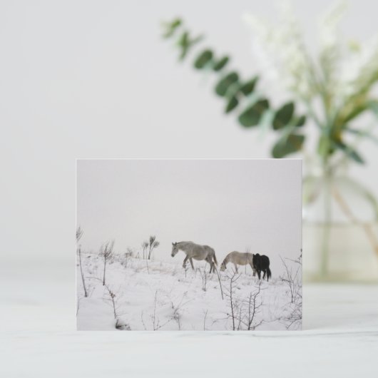 Wilde paarden in sneeuw Briefkaart (Staand voorkant)